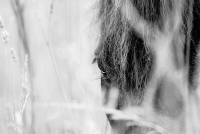 Close-up of a beautiful young woman on land