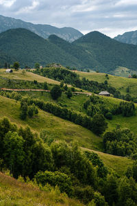 Mountain landscape in cloudy summer evening