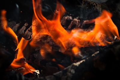 Close-up of bonfire