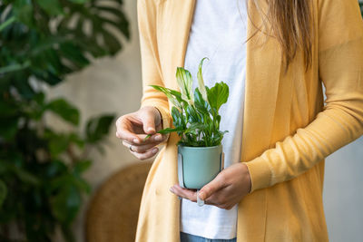 Midsection of woman holding plant at home