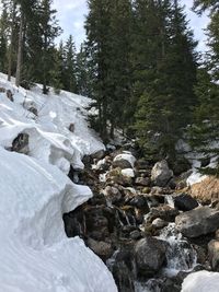 Stream flowing through rocks in winter