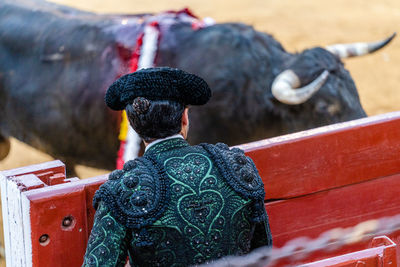 Back view of unrecognizable bullfighter in traditional costume standing behind fence looking at bulls on bullfighting arena