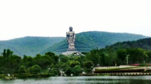 View of trees on mountain