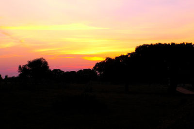 Silhouette trees on landscape against orange sky