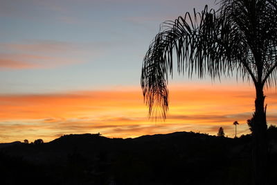 Silhouette trees against sky during sunset