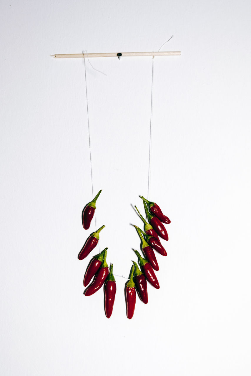 CLOSE-UP OF BERRIES ON WHITE BACKGROUND