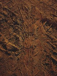 High angle view of footprints on rock
