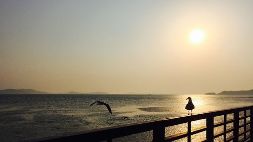 Scenic view of sunset over calm sea