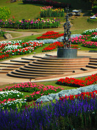 Flowers in garden