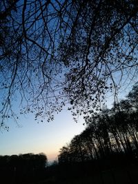 Low angle view of silhouette trees on field against sky at sunset