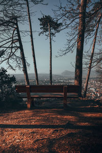 Empty bench in park