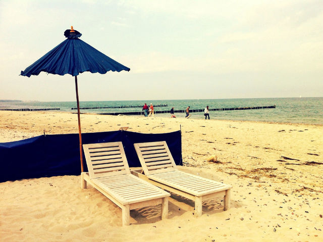 Deck chairs on beach | ID: 890337