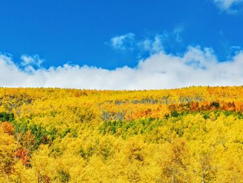 Scenic view of field against cloudy sky