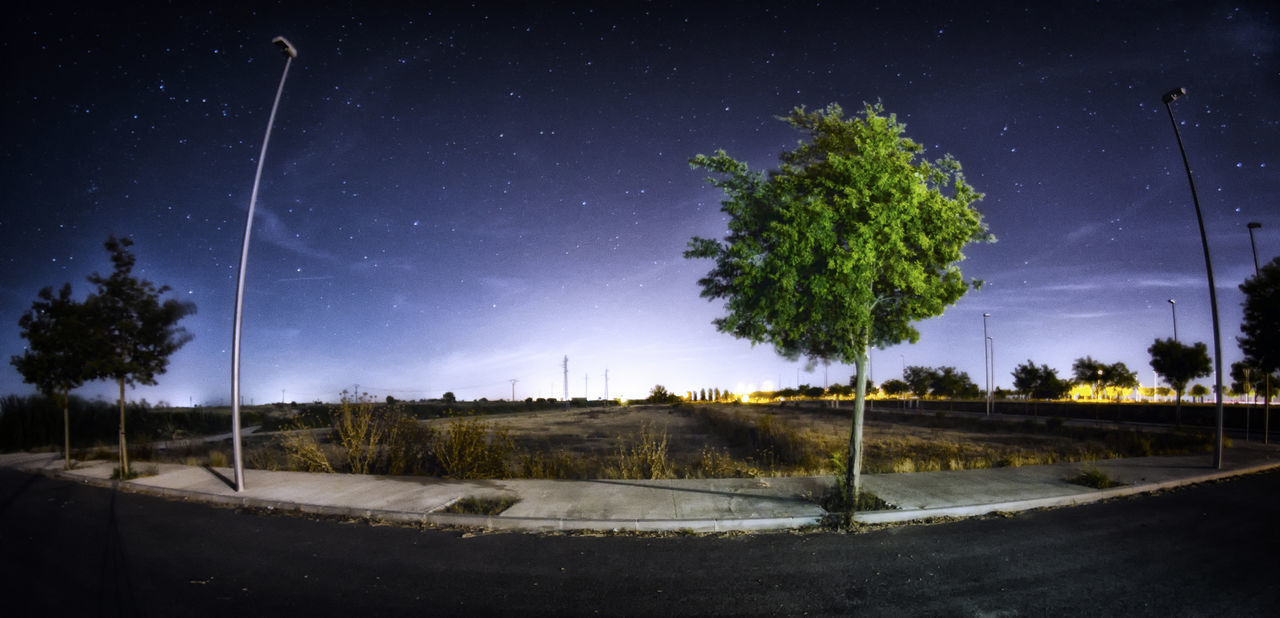 TREES BY ROAD AGAINST SKY AT NIGHT