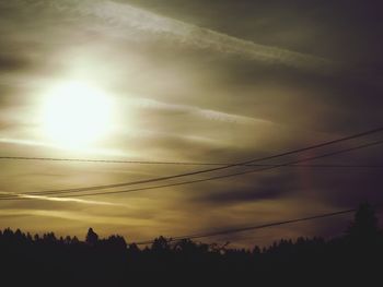 Silhouette of trees at sunset