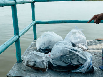 Plastic bags containing fish for use in releasing fish into rivers