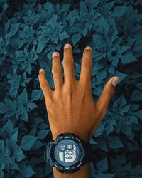 High angle view of human hand against plants