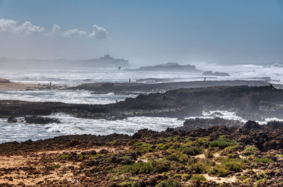 sea