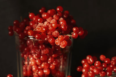 Close-up of red berries on glass