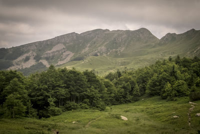 Scenic view of trees and mountains against sky