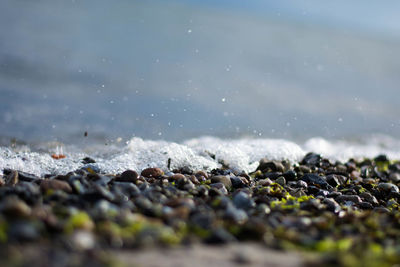 Close-up of stones on beach