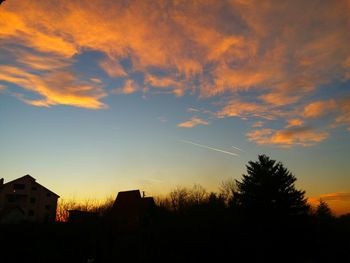 Silhouette trees against sky at sunset