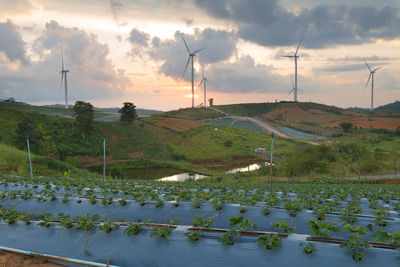 Panoramic view of windmills on landscape against sky