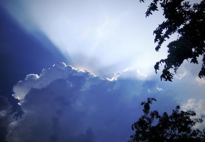 Low angle view of silhouette trees against blue sky