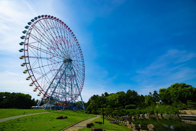 ferris wheel