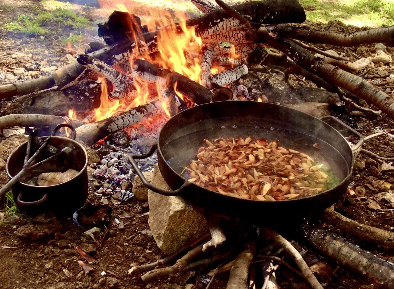 HIGH ANGLE VIEW OF BARBECUE GRILL IN COOKING