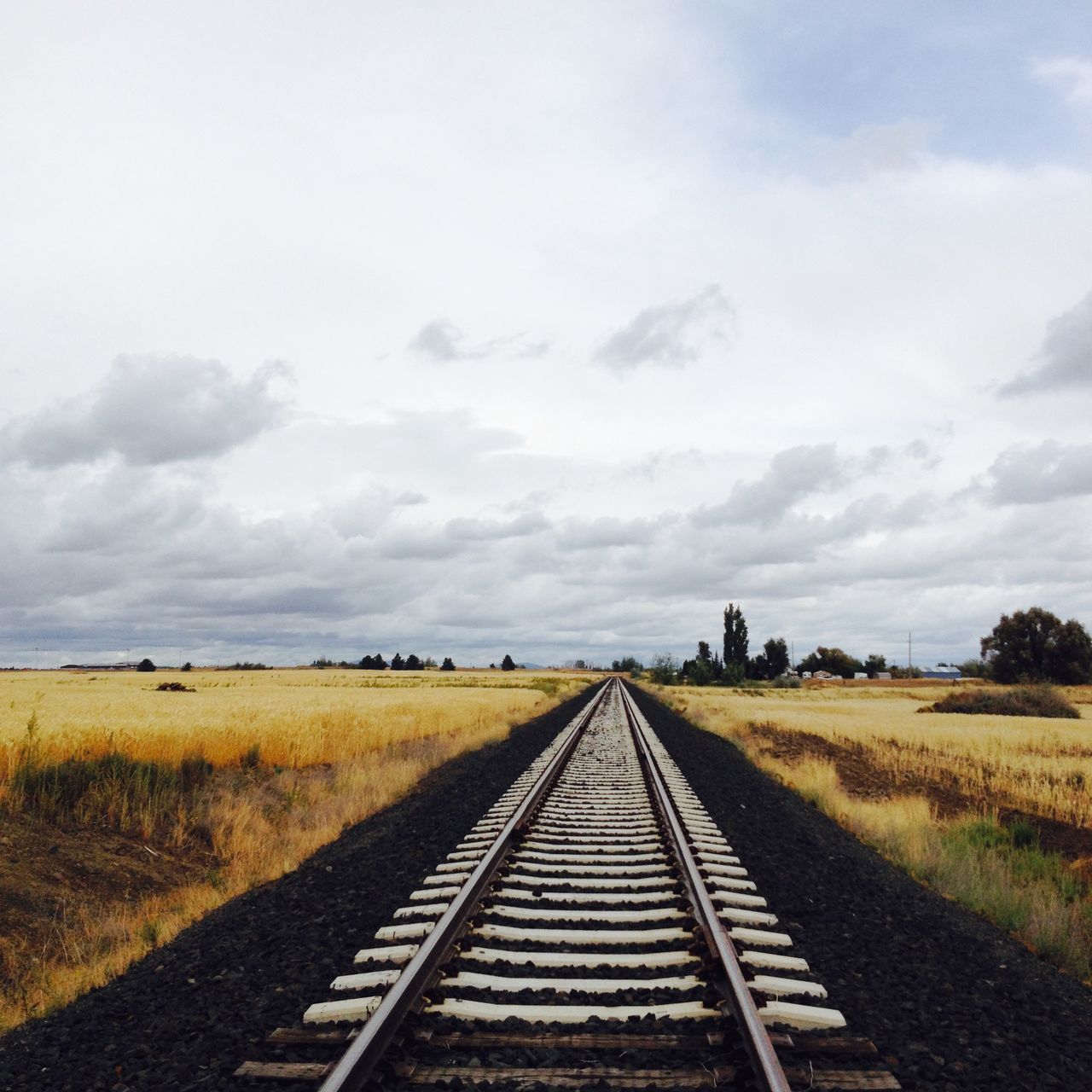 the way forward, sky, diminishing perspective, vanishing point, transportation, field, cloud - sky, landscape, rural scene, cloudy, tranquility, tranquil scene, cloud, road, railroad track, nature, agriculture, grass, empty, day