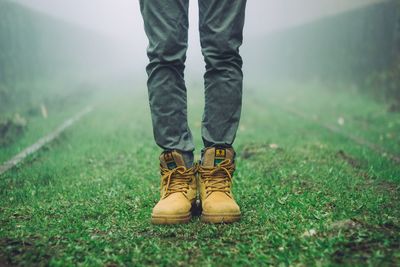 Low section of man standing on grass