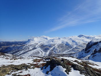 Snow covered landscape