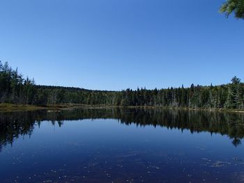 Scenic view of lake against clear blue sky