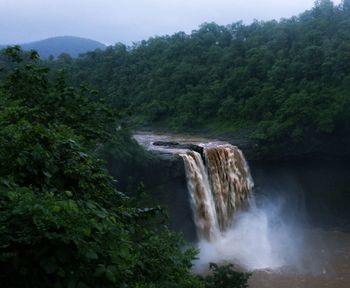 High angle view of waterfall in forest