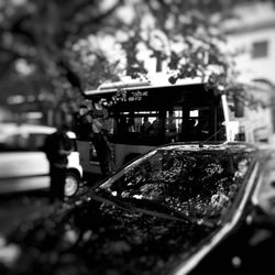 Close-up of vehicle on tree in city