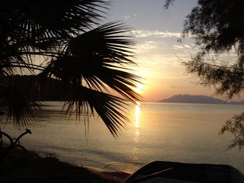 Silhouette palm trees by sea against sky at sunset