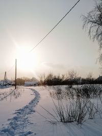 Snow covered plants against sky