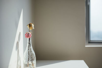 Close-up of bird on table at home