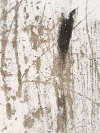 Full frame shot of weathered wall