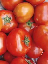 Full frame shot of tomatoes