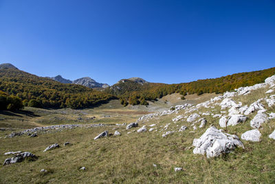 Scenic view of field against clear blue sky