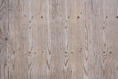 Full frame shot of bamboo on hardwood floor