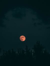 Silhouette trees against sky at night