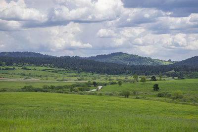 Scenic view of farm against sky