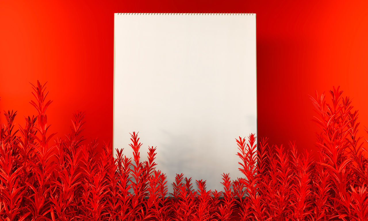 CLOSE-UP OF RED FLOWERING PLANTS AGAINST ORANGE WALL