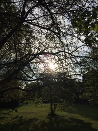 Scenic view of grassy field against sky