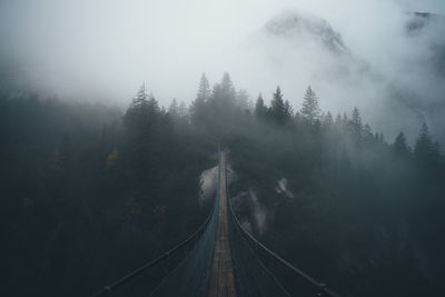 View of rope bridge in forest during foggy weather