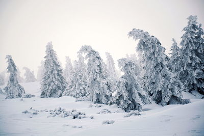 Scenic view of snowcapped mountains during winter