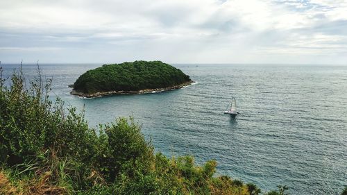 High angle view of plants by sea against sky